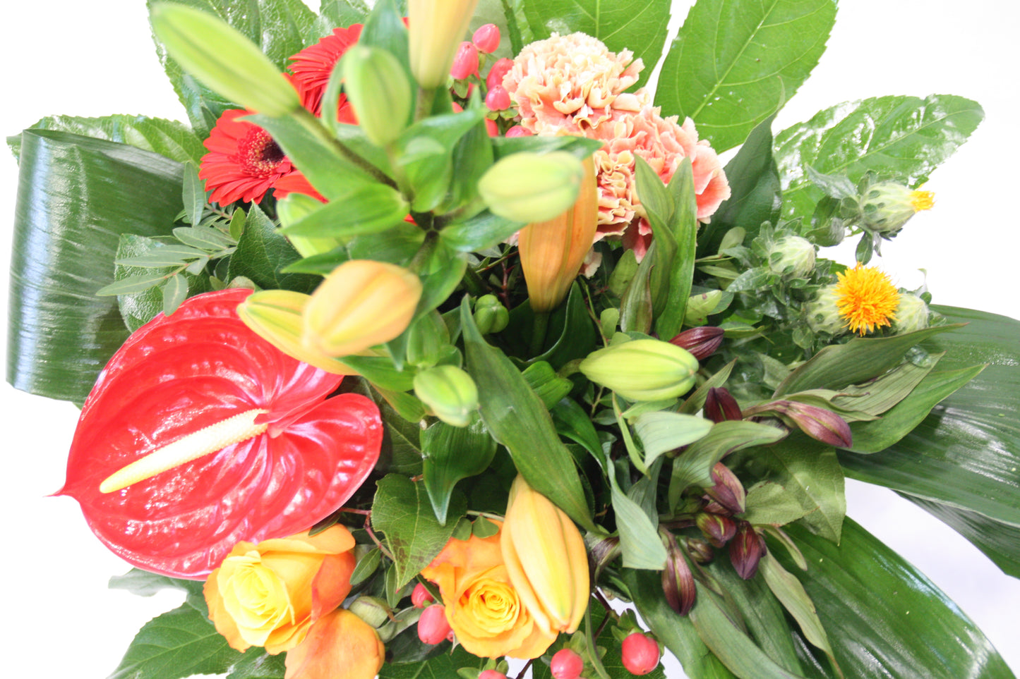 boeket westerbroek closeup