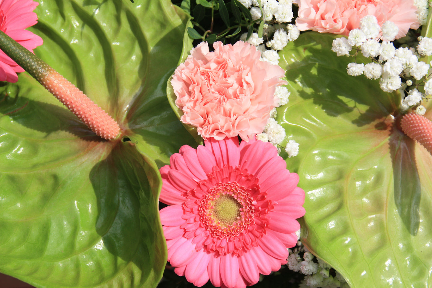 Boeket anthuium groen closeup