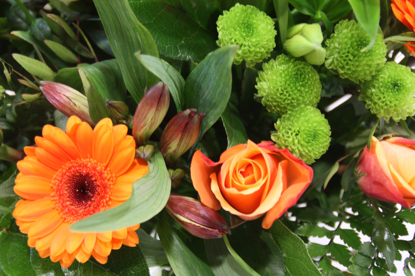 Boeket Sappemeer closeup