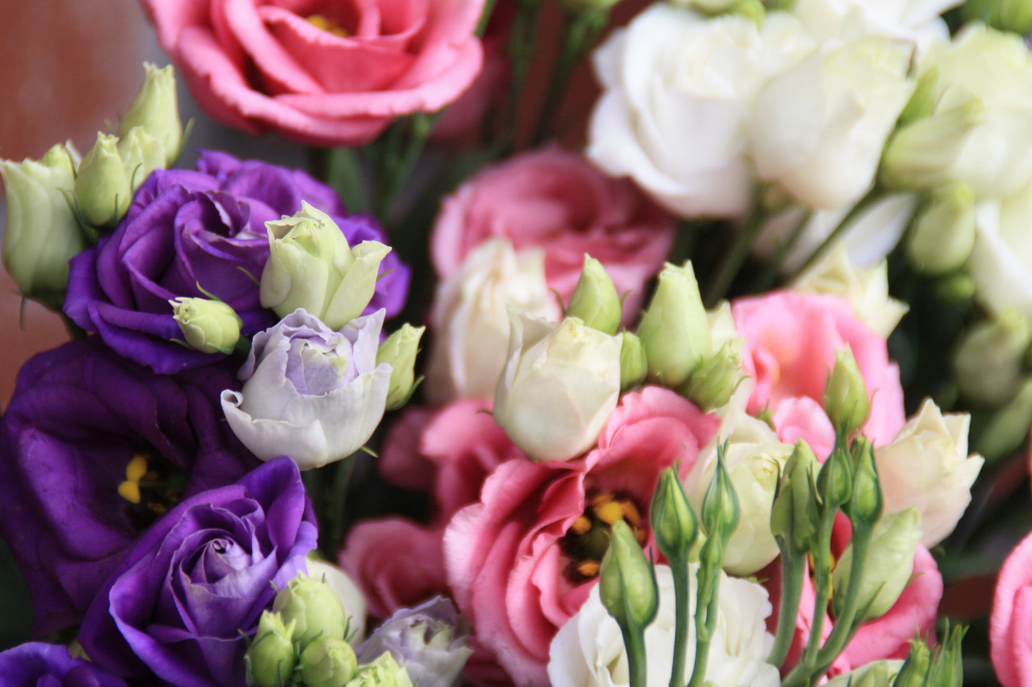 boeket lisianthus closeup