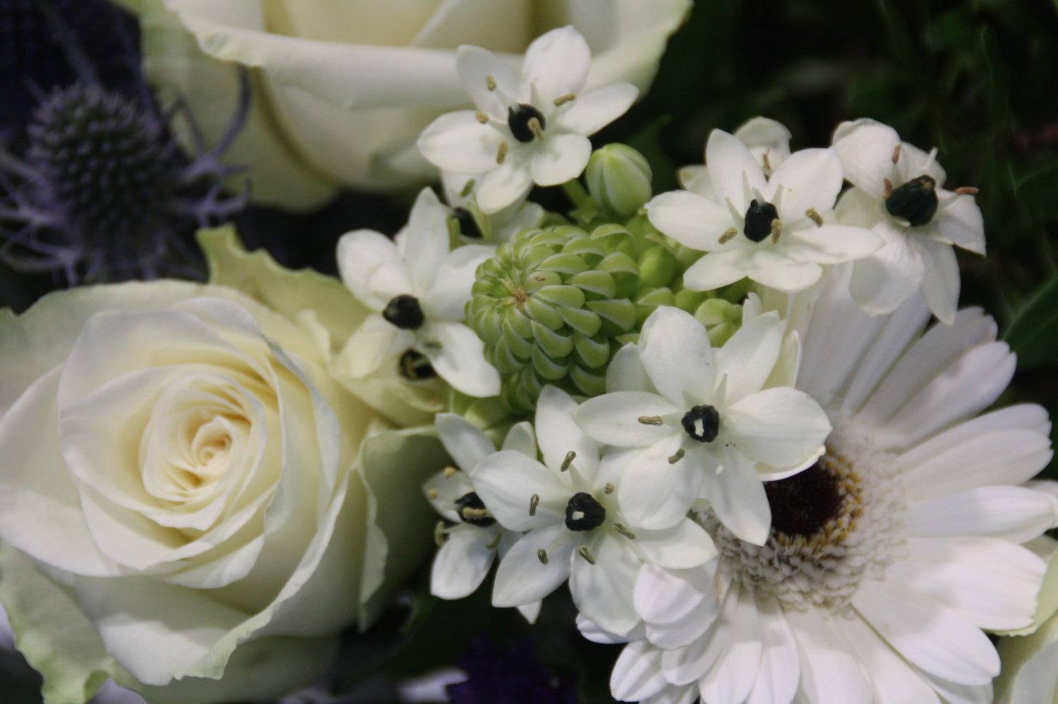 Boeket met bloemen om weg te geven of te laten bezorgen.