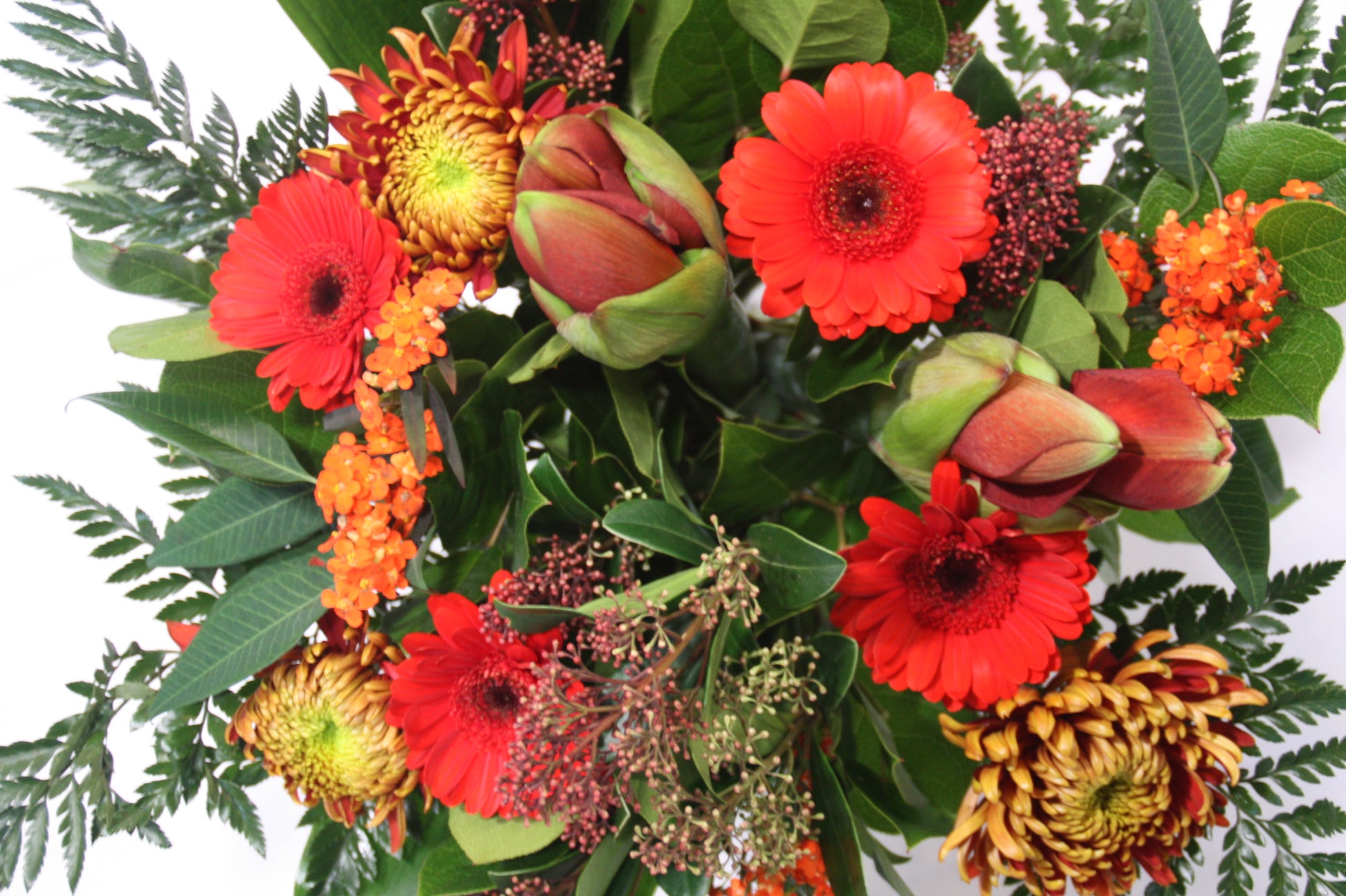 Boeket kropswolde bezorgen