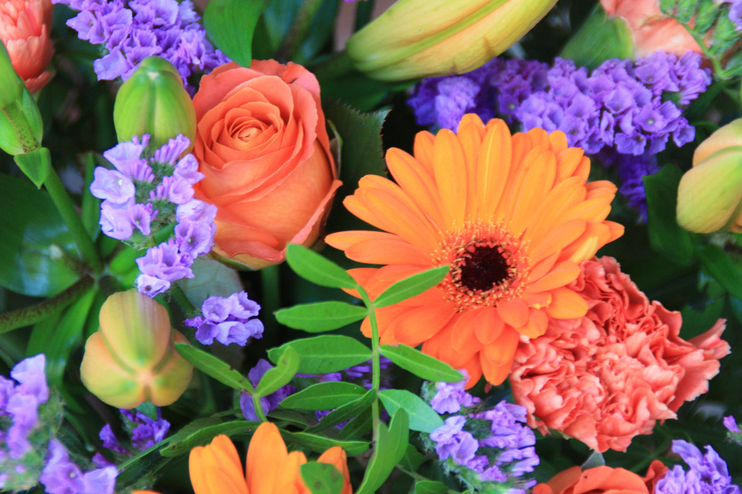 Boeket koningsdag closeup