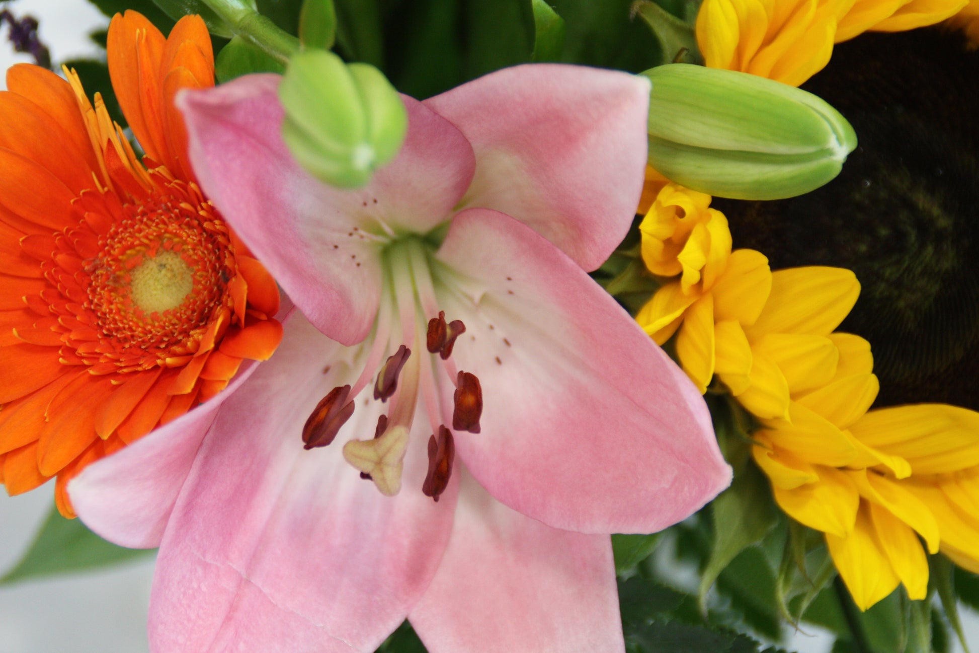 zonnebloemen boeket