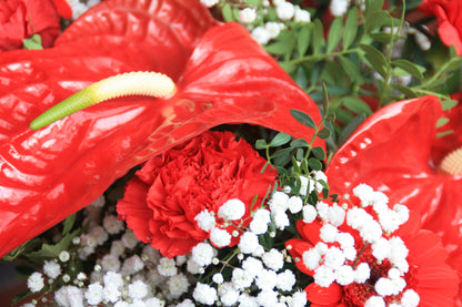 Boeket anthurium rood closeup