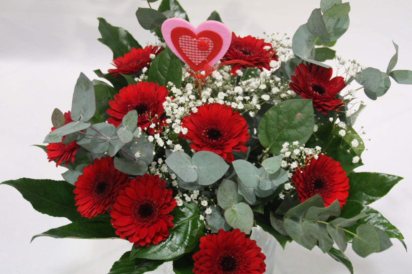 gerbera rood