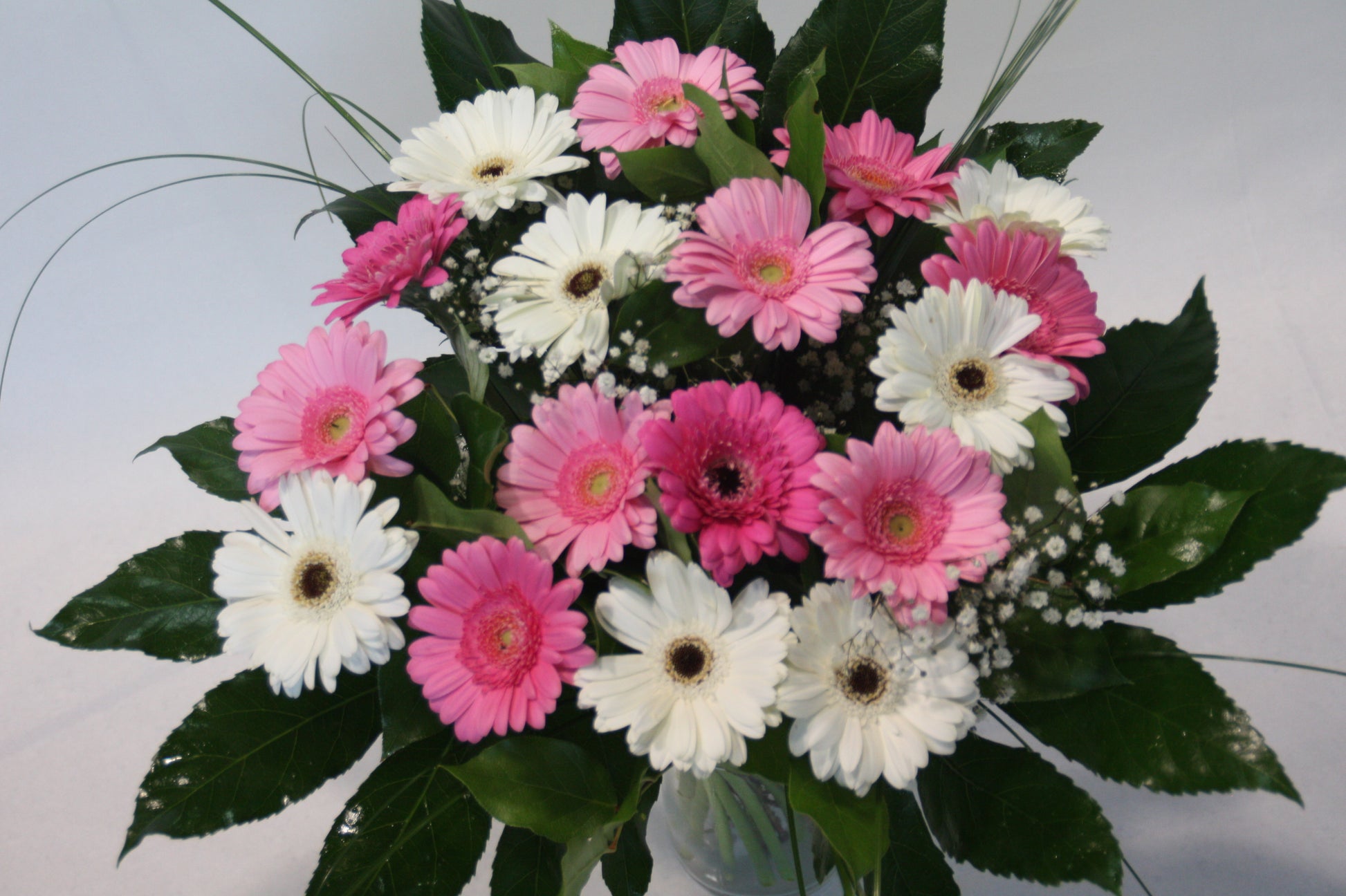 gerbera boeket