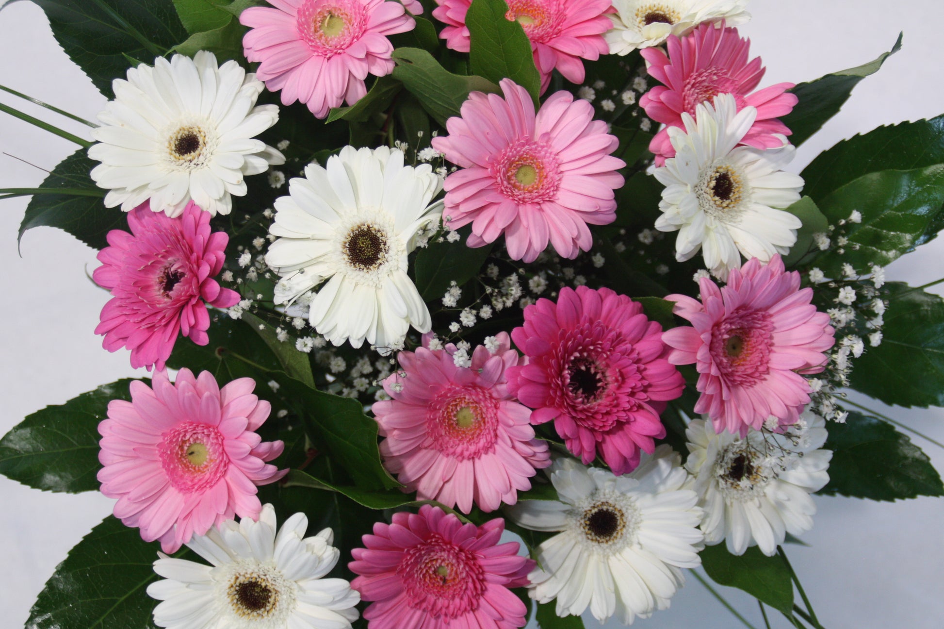 gerbera boeket bezorgen